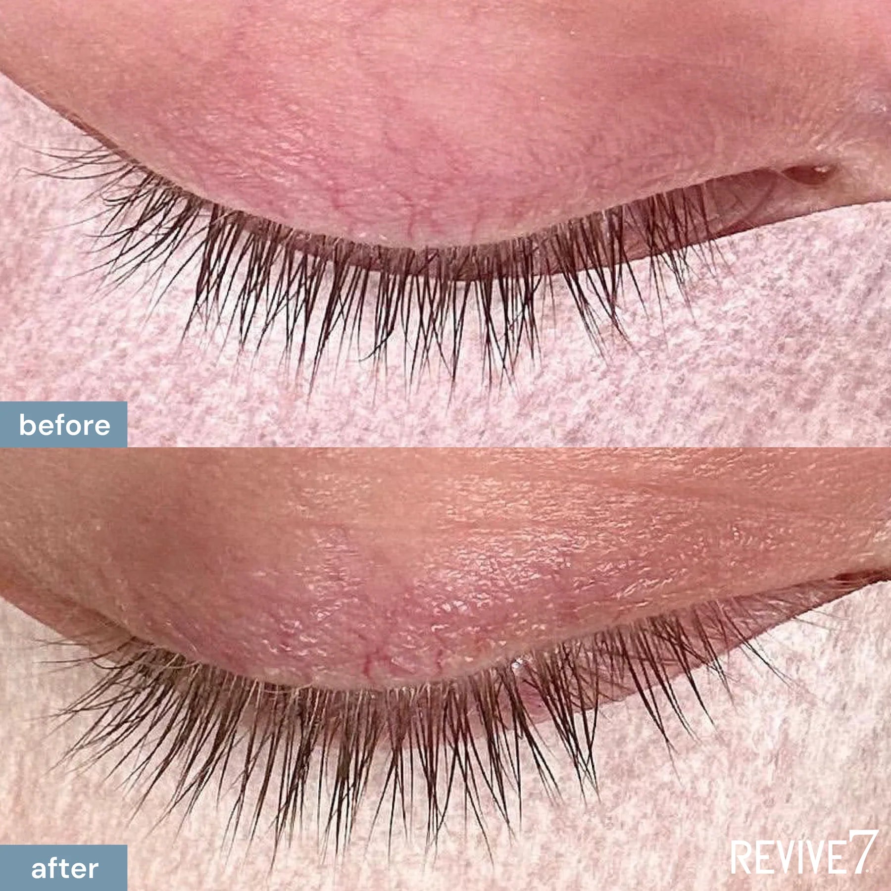 close up of lash line showing growth of lashes close up from using Revive 7 lash serum day and night