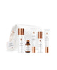Vivier Daily Glow Program kit — complete skincare routine to hydrate, brighten dull skin, smooth texture, and reveal a radiant, healthy and a beautiful vegan leather Vivier bag  at Foxy Face Studio Orangeville.