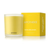 Meyer Lemon and Mint Candle